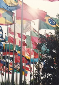Banderas países participantes.