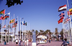Banderas internacionales en la Avenida 3.