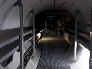 Tunel de acceso al lago.